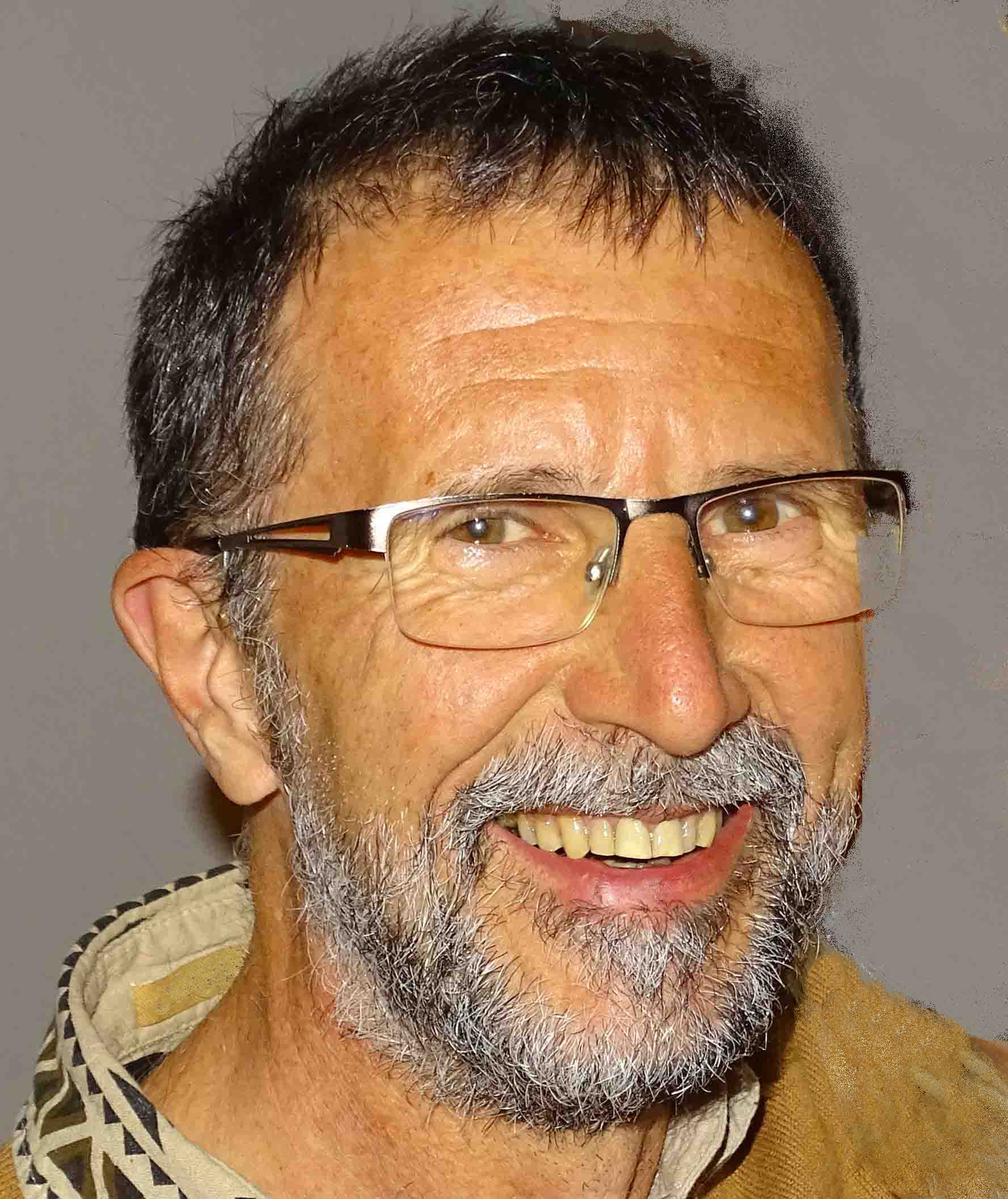 Vincent robert Vincent robert