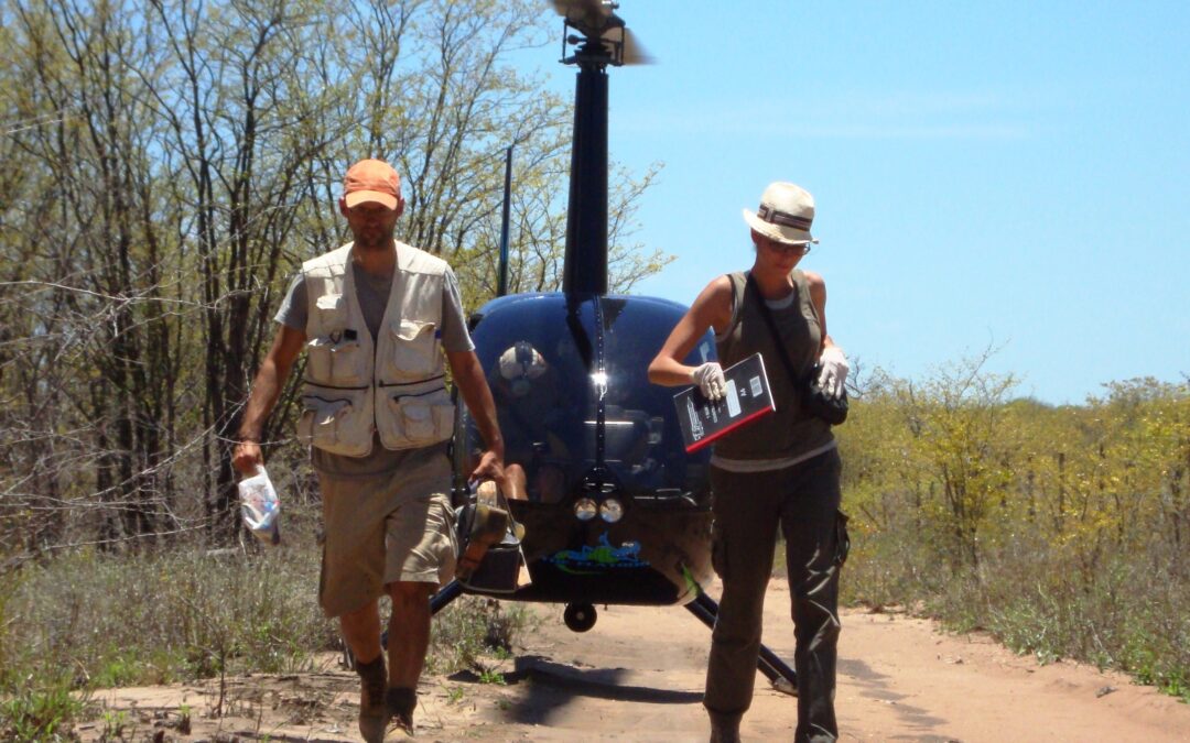 Fête de la Science au Zimbabwe avec HUM ANI