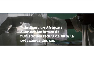 Paludisme en Afrique : éliminer les larves de moustiques réduit de 40 % la prévalence des cas